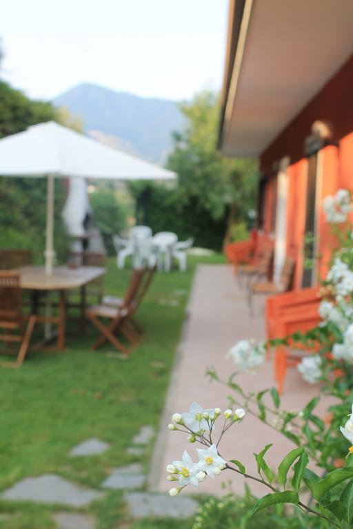 Agriturismo Da Lui Бордігера Екстер'єр фото